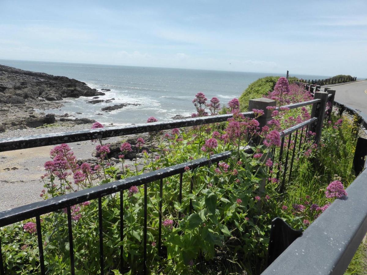 2A Redcliffe Apartment Bishopston Luaran gambar